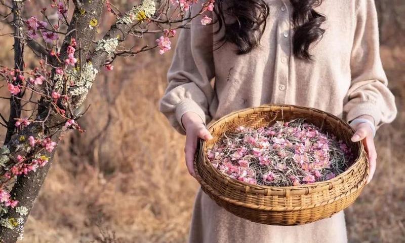 七夕与茶一相逢,便胜却人间无数