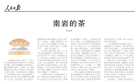 南岩的茶