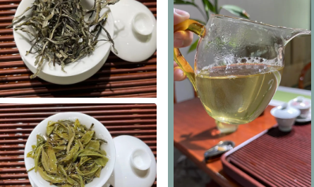 勐海县普洱茶品饮文化①