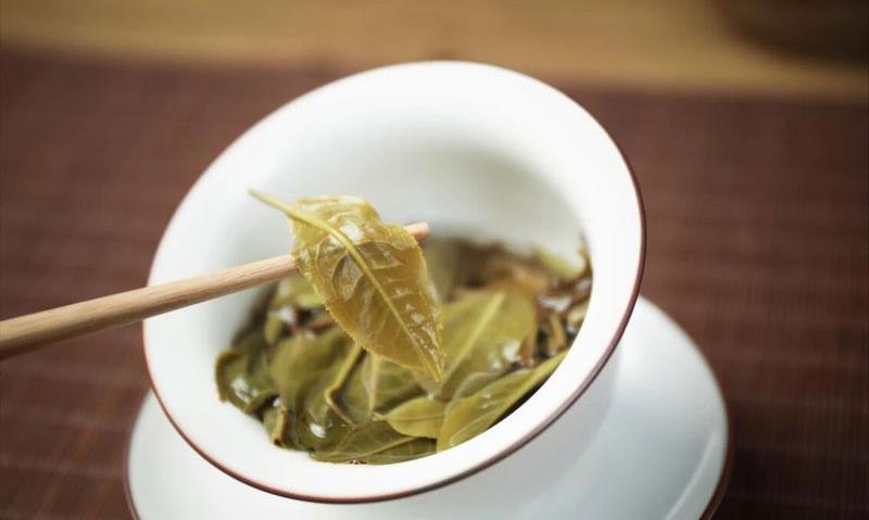 勐海县普洱茶品饮文化②