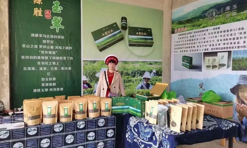 赵碧贤：留守家乡深耕茶叶产业 带动群众就业增收