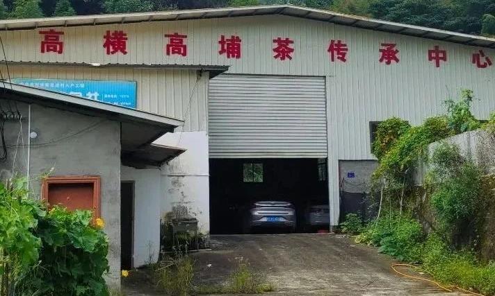 武平新农人彭庆发：扎根高山茶园的高埔茶传承人