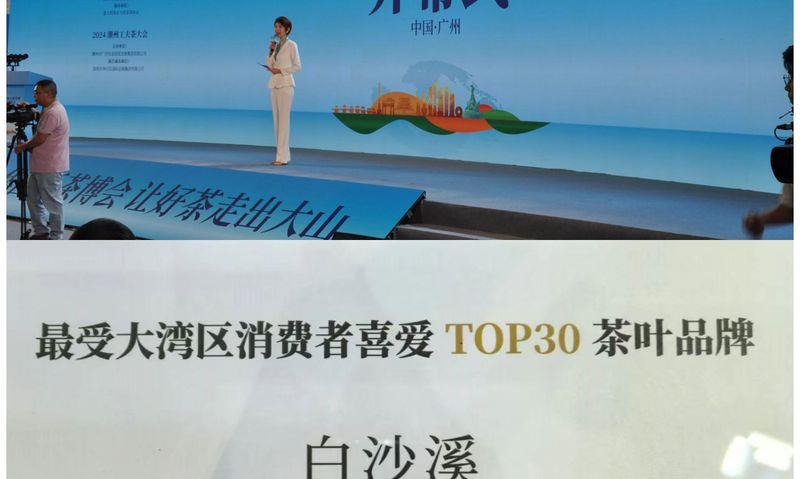 白沙溪盛装参展2024广州全球茶业交易博览会