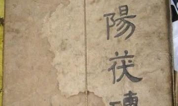咸阳茯茶制作技艺 千年传承袭古法 万里飘香生新花