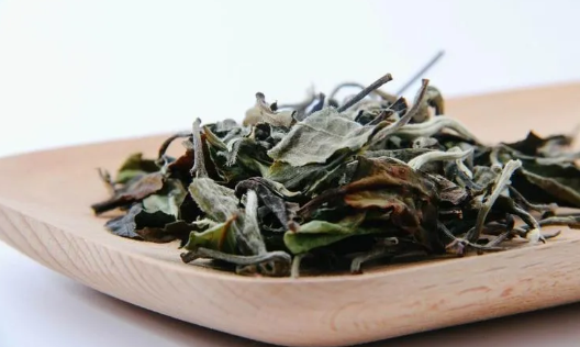 寿眉的奥秘：茶梗与品质的微妙关系