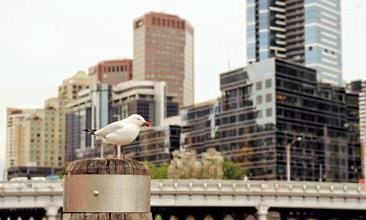 昆士兰捡漏“7572”