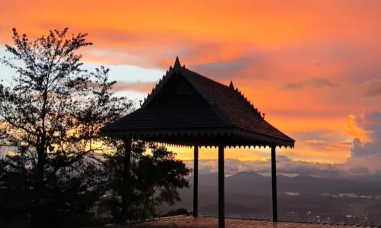 普洱茶盛世下的名山茶,大梦一场