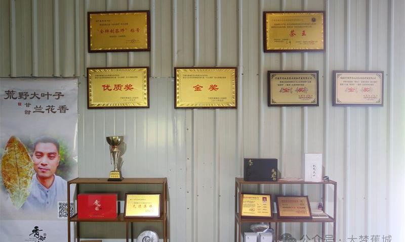 黄邦明:矢志不渝种好茶,乡村振兴显身手