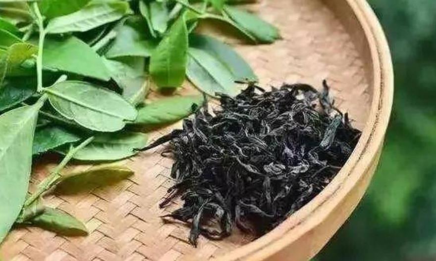 武夷岩茶精湛的做青、焙火技术