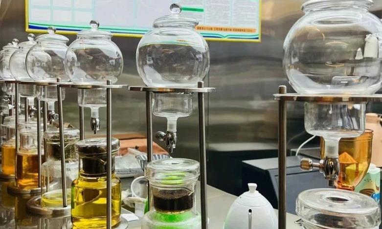 临沧茶界大冒险,从舌尖到心尖的茶香奇遇!