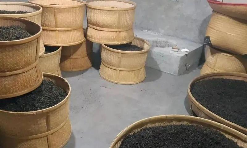什么是毛茶、精制茶、炭焙茶？