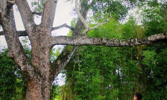 70万年的陨坑里,藏着一个传奇!