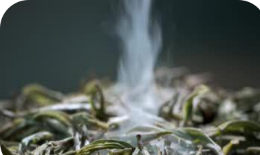 桃花江之烟熏茶