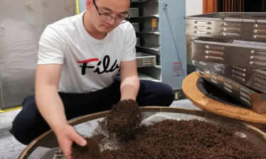 潘琦:守正创新做好茶 发展产业促振兴