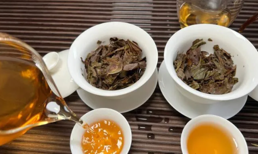 邂逅白茶秋茶季的至臻魅力