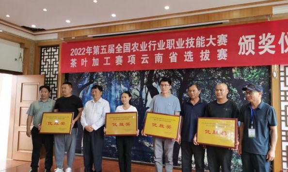 李宣明:一杯家乡茶 香气盈盈来