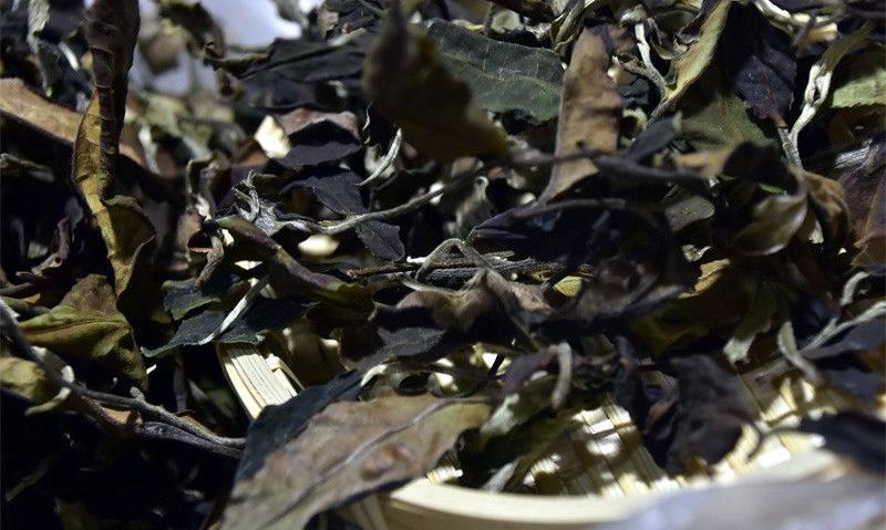 白茶之韵：探寻鲜香醇爽的甜蜜密码