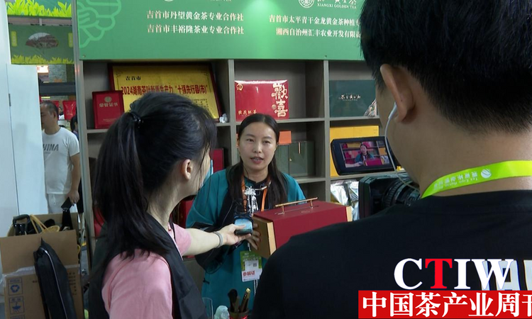 “十万山谷一叶茶”：湘西黄金茶闪耀2024湖南茶业博览会