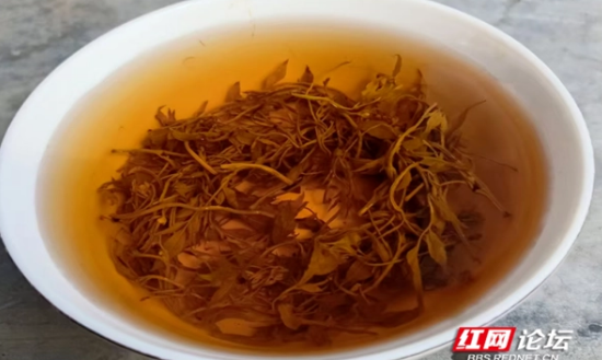 吴金萍:在希望的茶园里