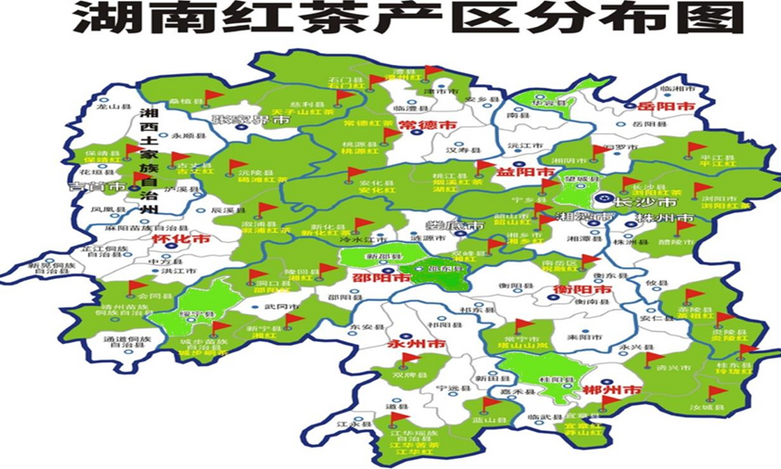 湖南红茶品牌建设成就闪耀茶博会