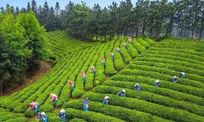 茶巷老街