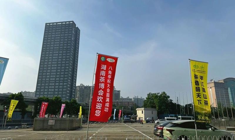 第十六届湖南茶博会,八角亭茶业璀璨盛宴,圆满收官!