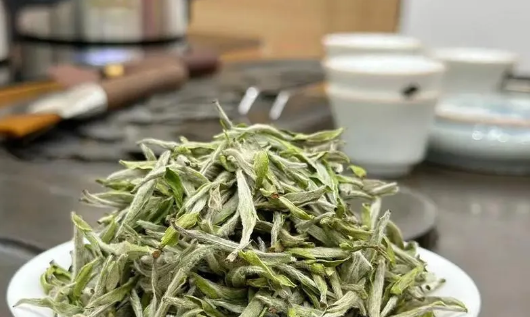 探寻白毫银针之秘：“小叶子”背后的故事与智慧