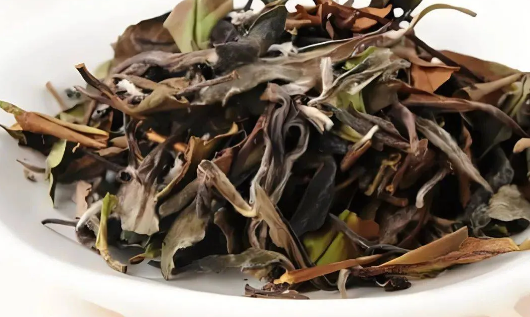 寿眉：老白茶的时光之选