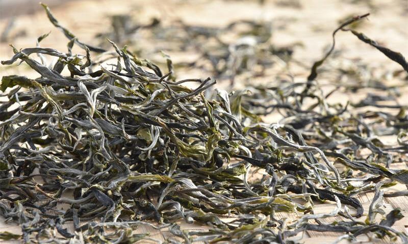 因茶不只是一种味道，千人有千味