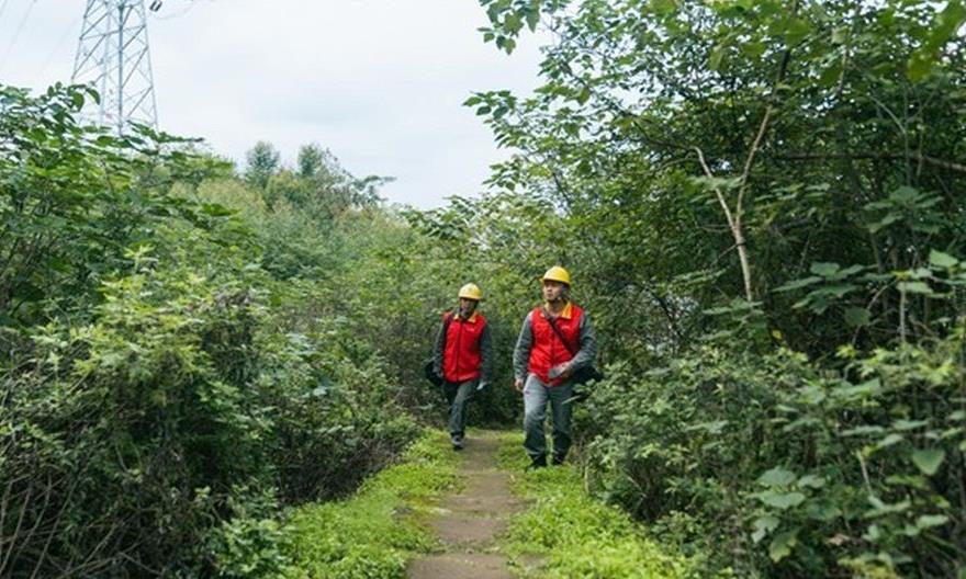以“电力通道”焕新“茶马古道”