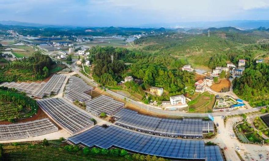 标准化生产助力玉屏油茶产业高质量发展