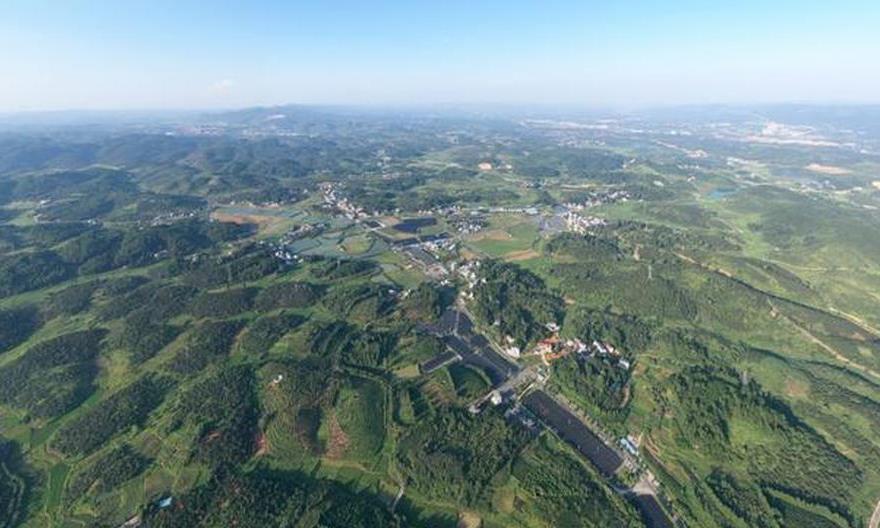 玉屏：“党建联盟”赋能油茶产业高质量发展