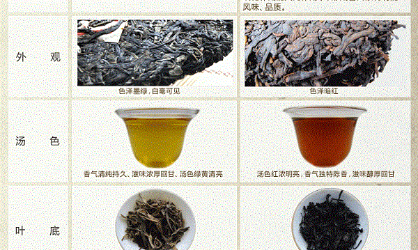 普洱茶生熟茶功效对比