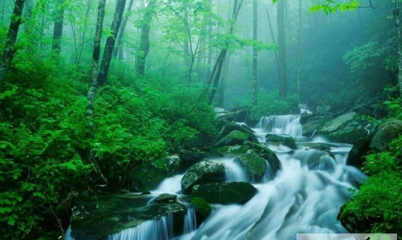 【昔归之诗】时光荏苒，我自清欢