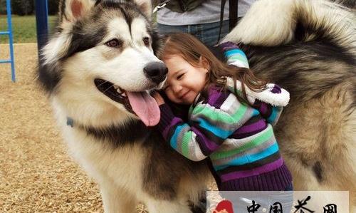 我所向往的美好生活