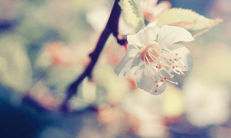 淡定处世——人生的最高境界