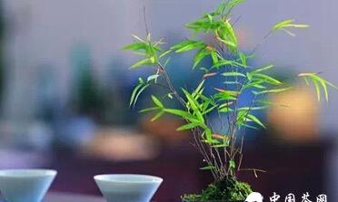 只因有茶,无言即大美