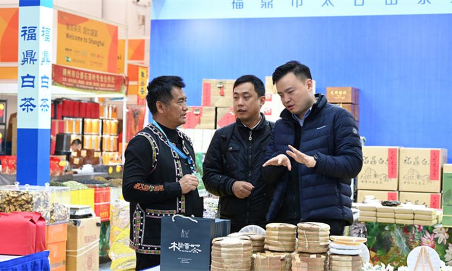 深化沪滇产业协作，景谷县大白茶入沪