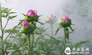 ♨茶凉了别再续，人走了别再留