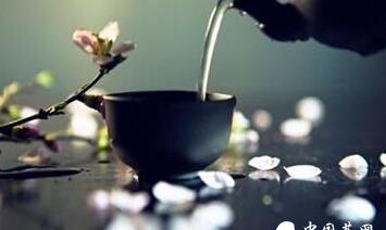 不是所有的茶都可以一见钟情