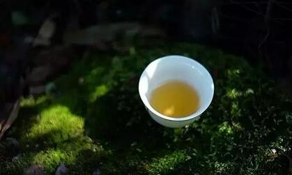 茶之轻，生命之重