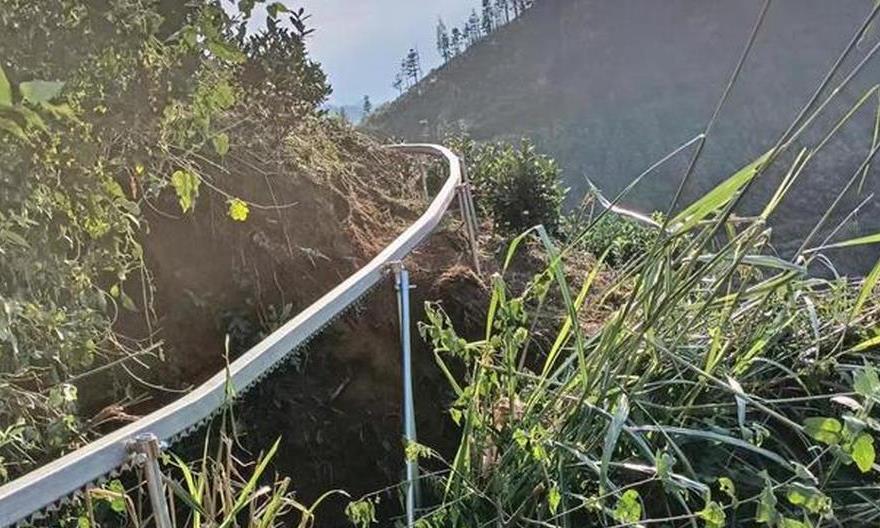 普定县穿洞街道：“小轻轨”助力茶园管护 开启茶产业发展新篇章