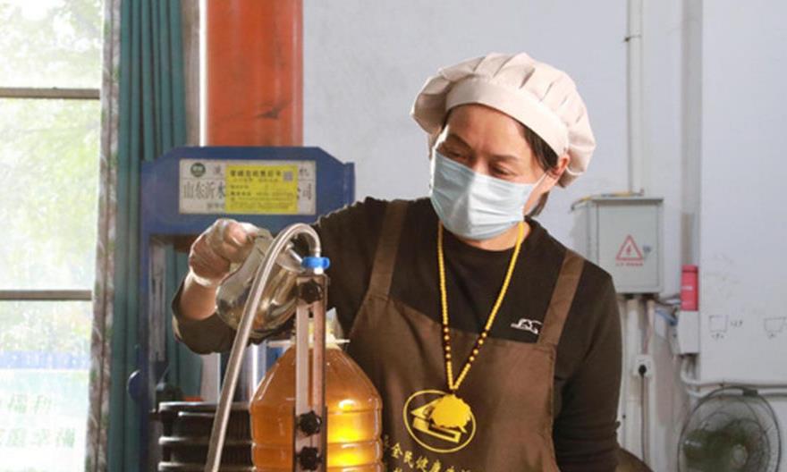 湖南新田：油茶喜丰收 榨出“致富油”