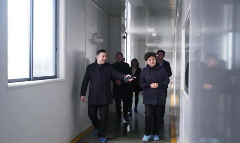 渝见雅安藏茶香：雅安藏茶推介会在重庆成功举办