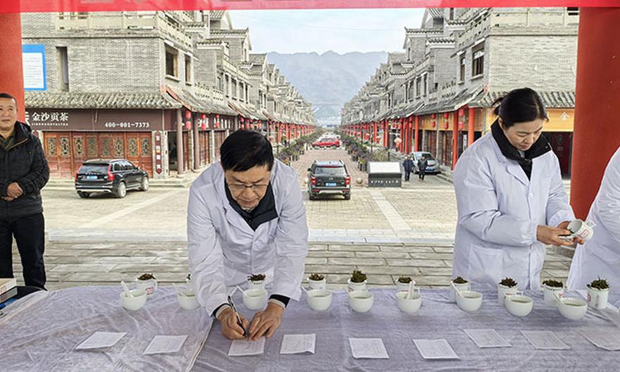 金沙县2024年“金丝白”斗茶大赛圆满落幕