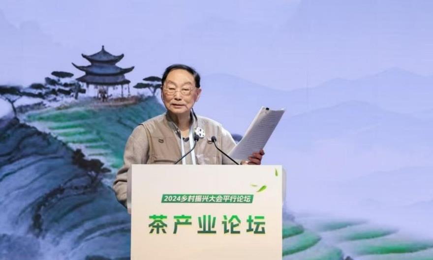 刘坚：激活茶叶消费潜力 发挥茶叶对居民消费的拉动作用