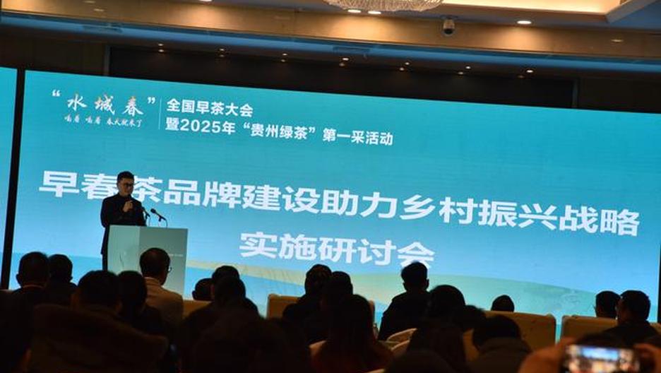 茶“画”振兴！城春跨年茶画会暨水城茶旅融合推介大会举行