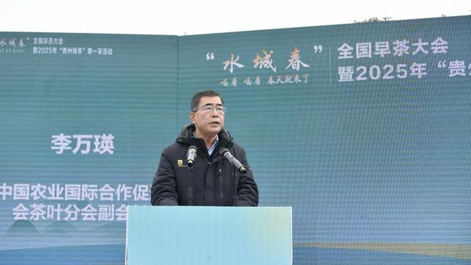 六盘水：全面开启2025年水城茶叶振兴之路