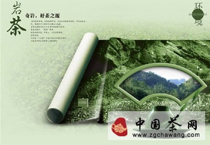 武夷岩茶的起源和发展