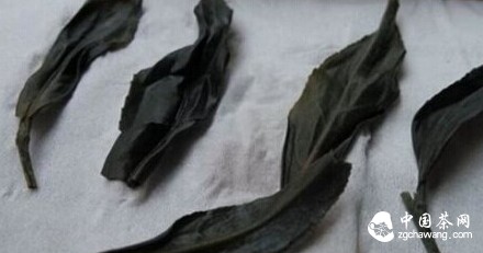 【紫娟】紫色的茶，你敢喝么？